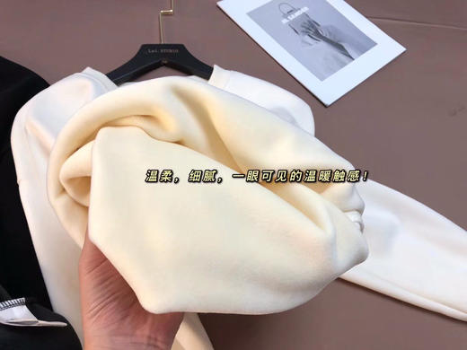 清仓FL水貂绒加绒卫衣 商品图3