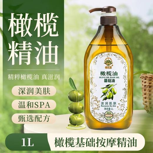 橄榄按摩油美容院专用大瓶身体按摩油通经络护肤开背SPA厂家批发 商品图0