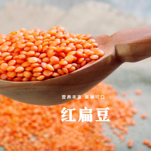 红小扁豆/红奴豆  优质植物蛋白 商品图0