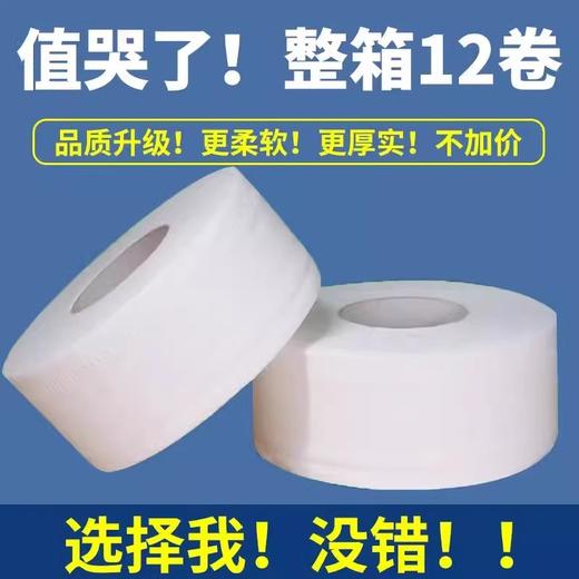 批发大卷纸卫生纸巾厕纸酒店专用商用实惠装家用消耗品一整箱批发 商品图0