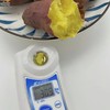 【能烤出蜜】鸣门金时地瓜红薯 品种源自日本鸣门 金黄色果肉 软糯细腻如板栗口感 商品缩略图5