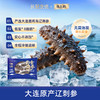 【海参半年卡】长轻优选×岛上的 即食海参 520g/袋（14-17头） 鲜美爽口营养丰富 商品缩略图1