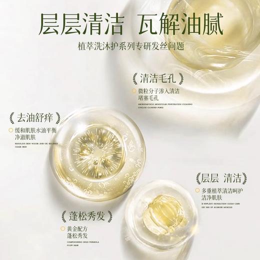 五星级酒店宾馆白茶洗发水沐浴露套装浴场民宿洗浴用品批发补充装 商品图2