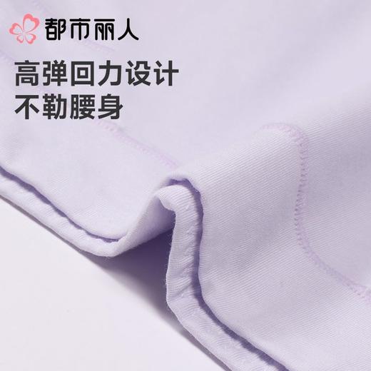都市丽人内裤女士内裤60支棉莫内裤木代尔内裤纤柔绵内裤LKC4A2 商品图6