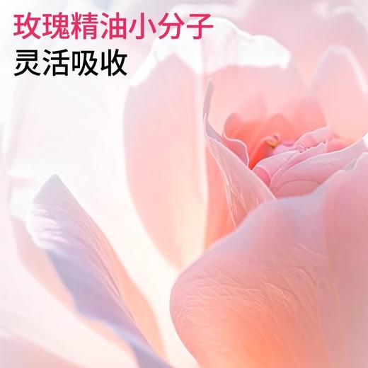 精油情侣玫瑰按摩发热刮痧精油全身可用美容院线专供免洗精油批发 商品图2