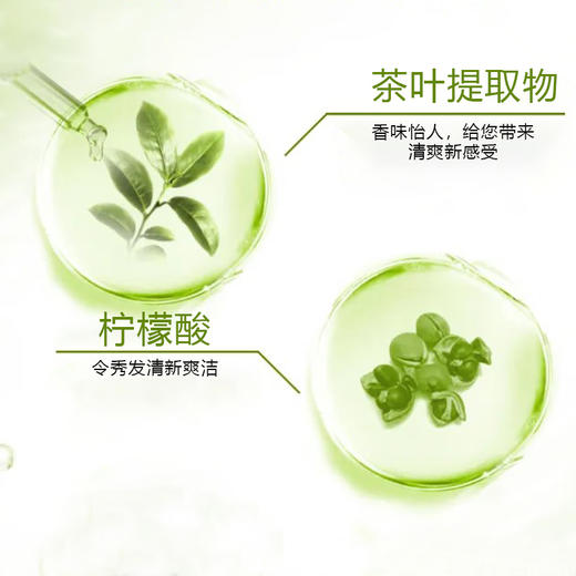 隆力奇草本净爽洗发水沐浴露深层清洁酒店宾馆民宿美发理发店专用 商品图2