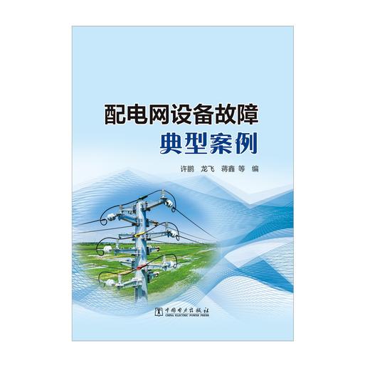 配电网设备故障典型案例 商品图1