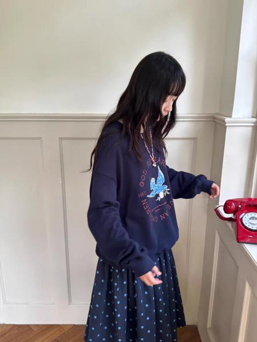 nothe Case布然/NC253208/「蓝色飞鸽」全棉宽松卫衣 商品图2