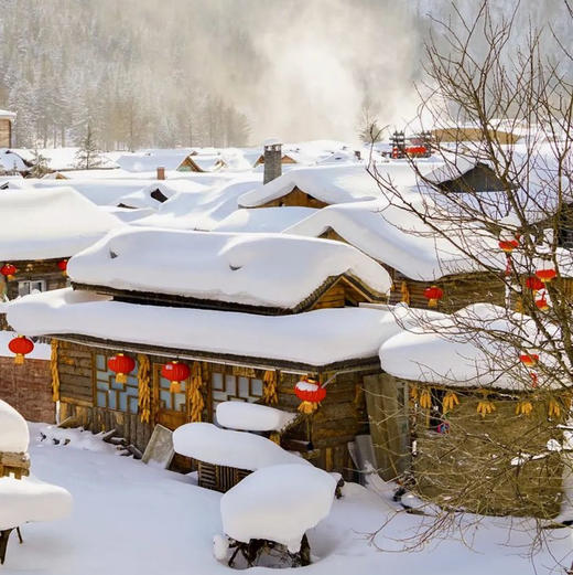 周末/元旦【雪乡】svip立减50元の雾凇岛-雪乡-雪谷-林海雪原穿越｜可衔接漠河 商品图3