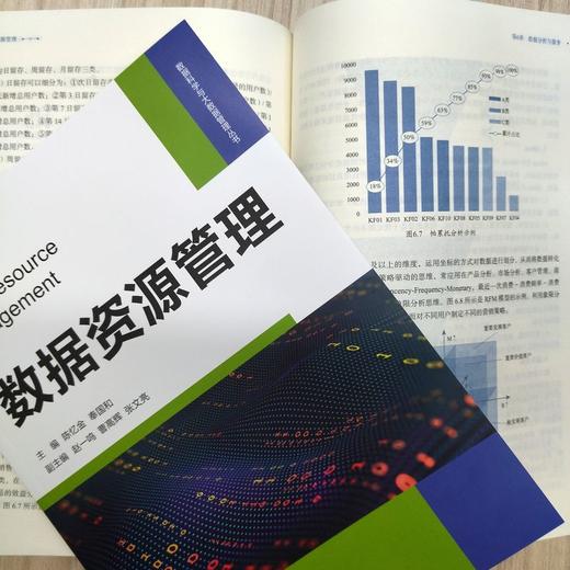 官网 数据资源管理 陈忆金 教材 9787111743217 机械工业出版社 商品图3