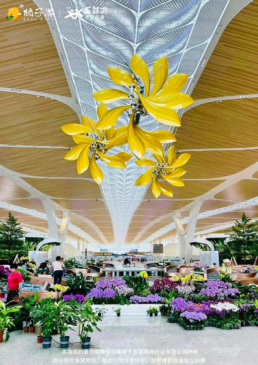 【羊城花冠】T3航站楼+塱头古村一日游 商品图1