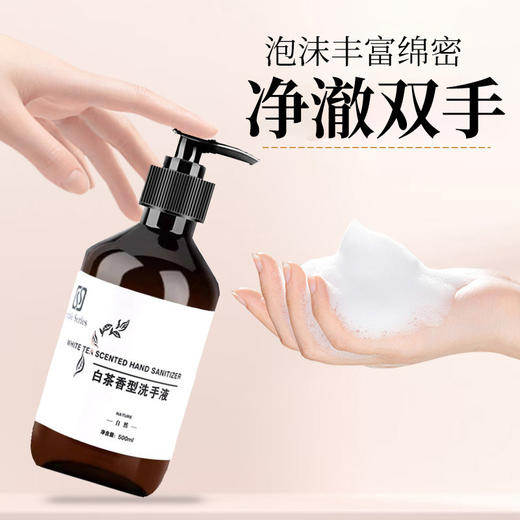 白茶香洗手液500ml大瓶装 按压手部泡沫清洁滋润酒店民宿洗浴家用 商品图3