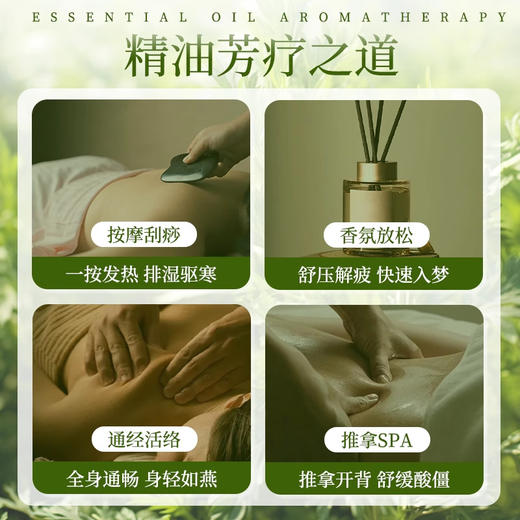 艾草精油官方旗舰店正品脸部全身推背按摩身体通经络艾油刮痧小瓶 商品图3