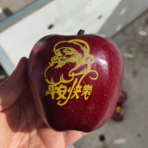 【圣诞礼物】顺丰陆运 甘肃天水花牛苹果礼盒装 新鲜平安果 商品图0
