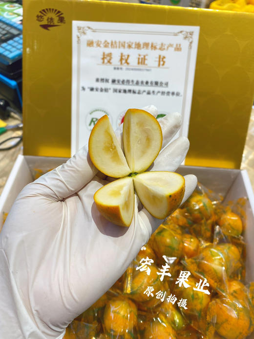 超大个脆蜜金柑 口感纯甜 不涩不辣  活动价39.9元一斤 商品图5