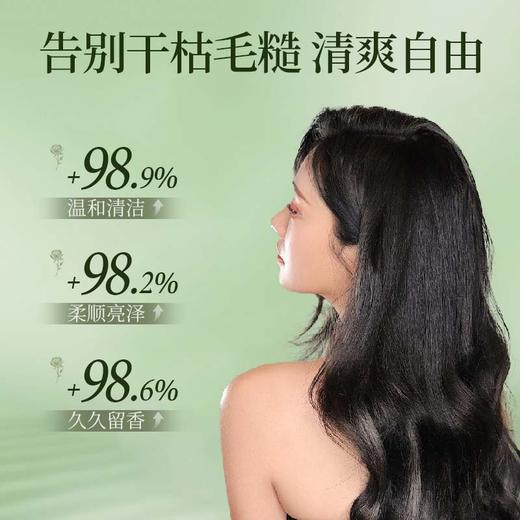 包邮大桶洗发水沐浴露20L酒店理发店发廊洗浴专用洗发露一件起批 商品图1