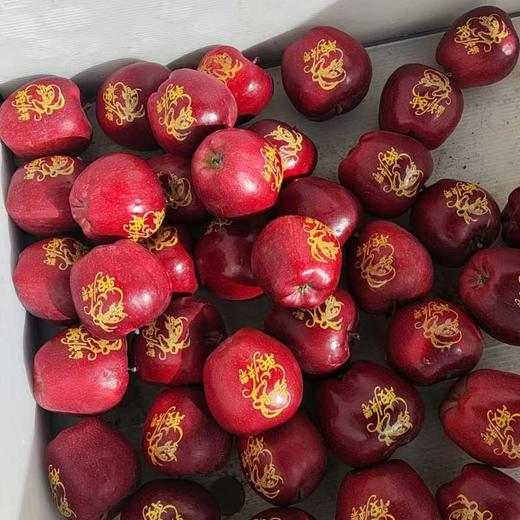 【圣诞礼物】顺丰陆运 甘肃天水花牛苹果礼盒装 新鲜平安果 商品图3
