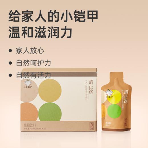 【清正饮】草本浓缩 清甜果味 养愈活力 加固正气屏障 lc 商品图0