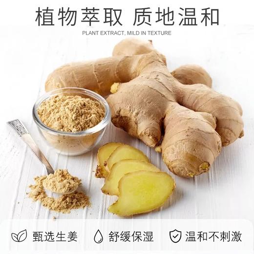 生姜精油按摩身体疏通经络推背开背刮痧油肩颈老姜全按摩精油大瓶 商品图2