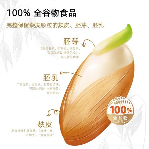 即食萌芽燕麦饭 | 低GI标识 100%全谷物 配料只有水+裸燕麦 开袋即食 麦香浓郁 饱腹感强 营养素丰富 商品图2