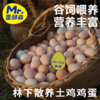 【肥西黄油老母鸡 金奖土鸡蛋】安徽肥西名鸡，优选中国原种土鸡 科学散养健康品质 买2送1 商品缩略图4