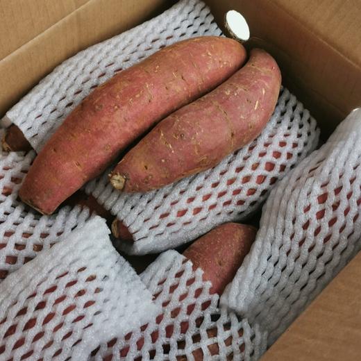 【能烤出蜜】鸣门金时地瓜红薯 品种源自日本鸣门 金黄色果肉 软糯细腻如板栗口感 商品图4