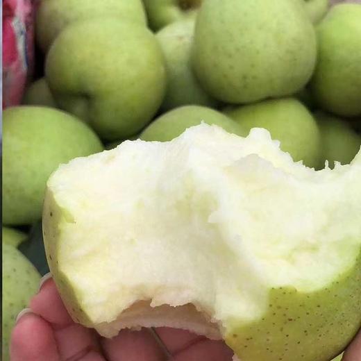 王林苹果一口清脆，满口幽香  当季新鲜采摘 商品图1