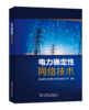 电力确定性网络技术 商品缩略图0