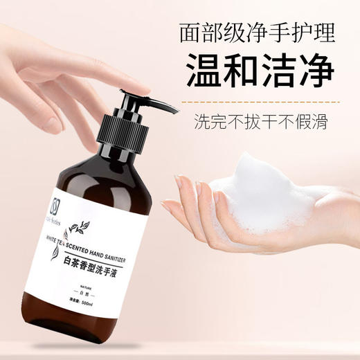 白茶香型泡沫洗手液500ml酒店宾馆民宿家用洗手液大桶补充装批发 商品图3