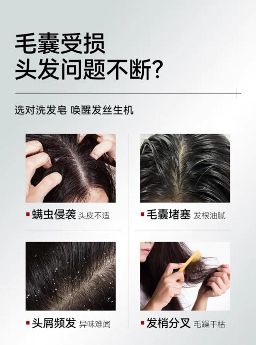 满婷侧柏叶草本养发皂60g——加入会员下单享8折，满69元送满婷清满保湿洁面乳，满119元送祛痘控油沐浴乳 商品图2