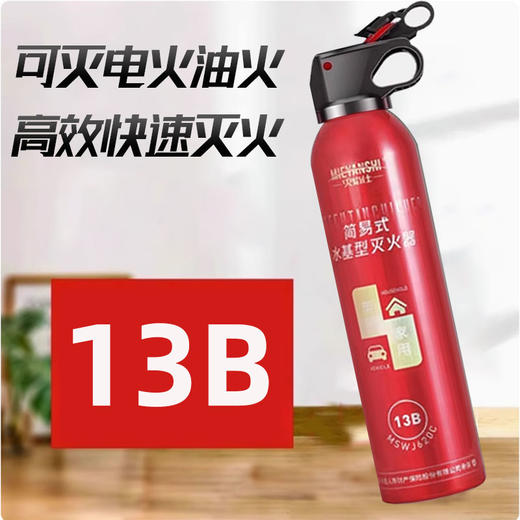 【货号04719】车载家用水基灭火器 水雾泡沫车用灭火器消防高效阻燃 商品图1