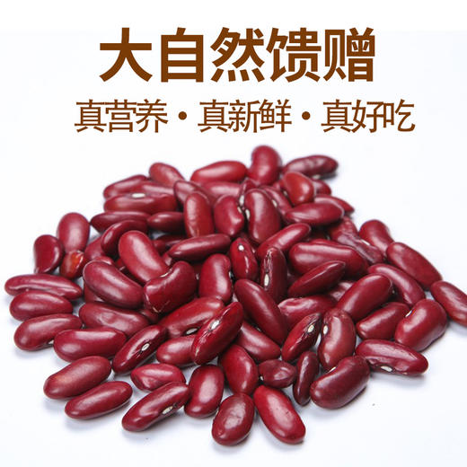 【颗粒饱满】希礼盛 红腰豆 500g/袋 手工挑选豆香浓郁 商品图1