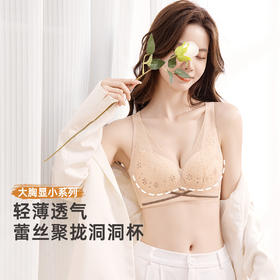 雅黛俪大胸显小显瘦女士内衣轻薄透气洞洞杯性感蕾丝文胸罩
