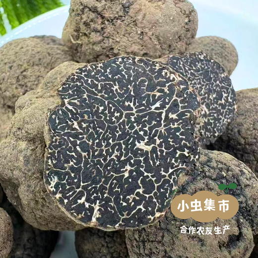 云南深山鲜黑松露（非种植）| 合作农友生产，产自云南永仁，采集者：康丽及当地村民 *【公平贸易农人定价】 商品图3