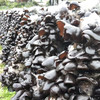 野森林干货组合885g 商品缩略图3