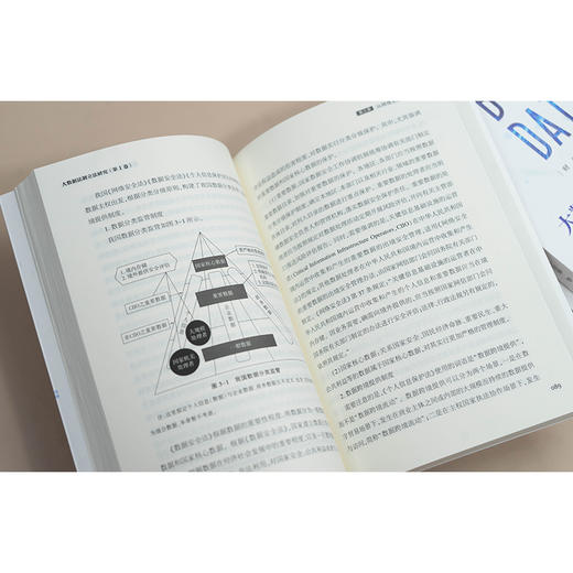 大数据法制立法研究（全4卷）邢会强 等著 法律出版社 商品图2