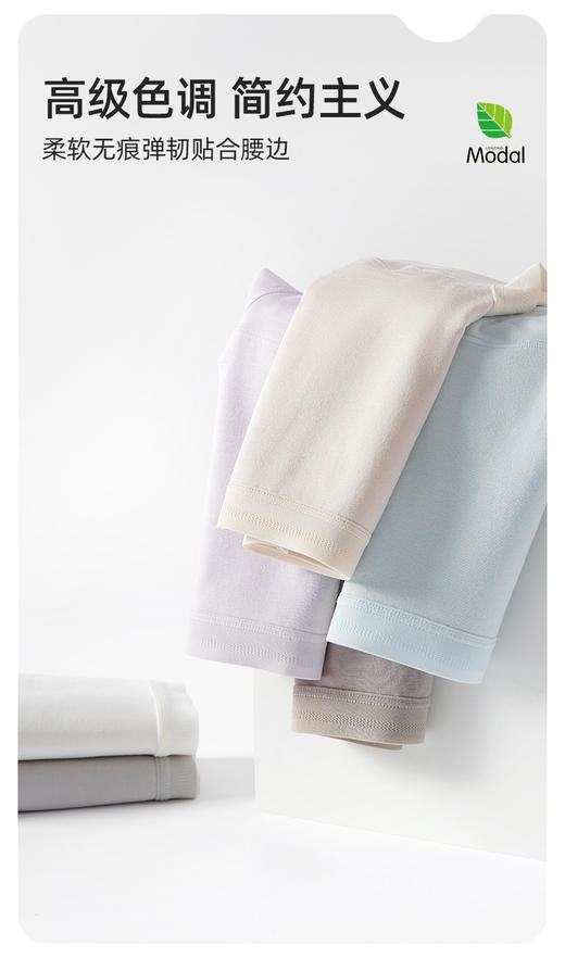 ADY668兰精莫代尔内裤 商品图12