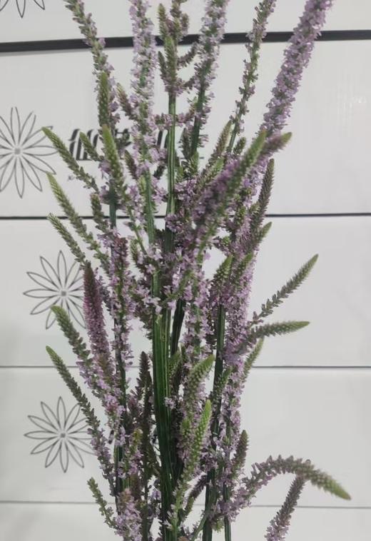 配花 | 丘比特 商品图0