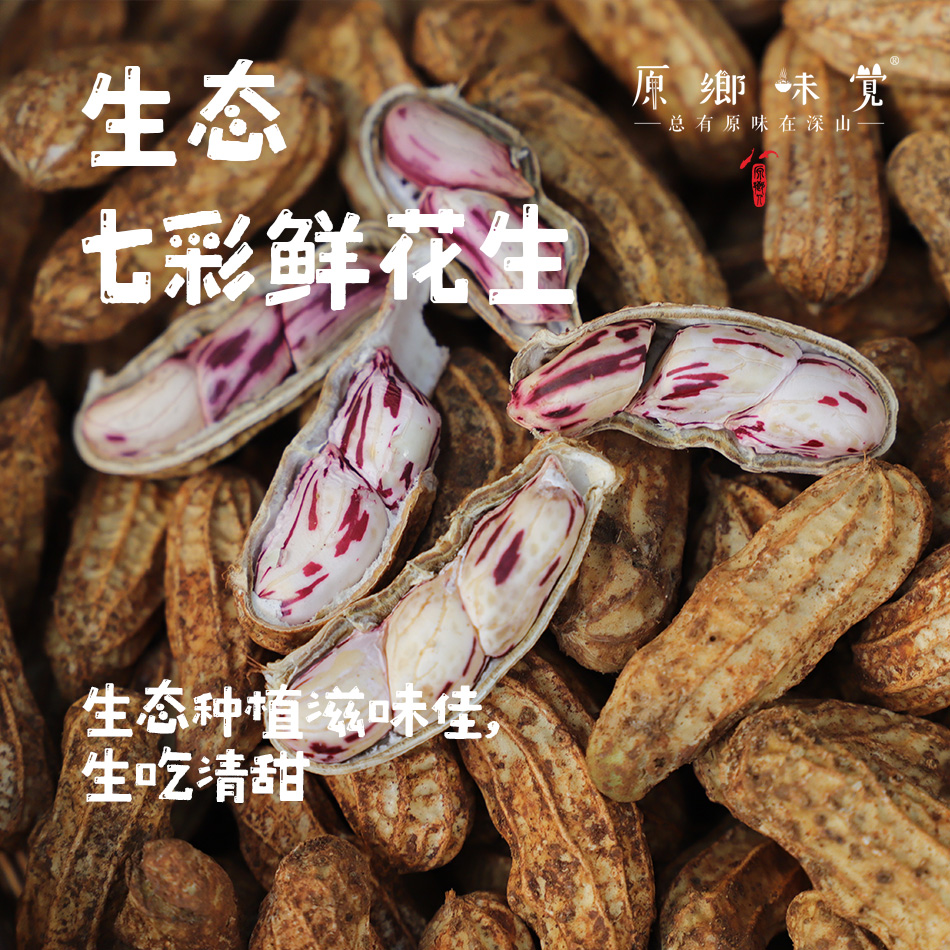 生态七彩鲜花生（基地直发-中通包邮）|3斤/件，来自云南大理州，生产者：谢雪梅【合作生产，公平贸易】