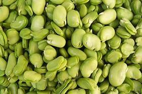 【生鲜预定】蚕豆米