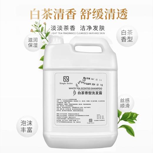 酒店洗发露沐浴露护发素补充液一件起批浴场理发店专用大桶洗发水 商品图3