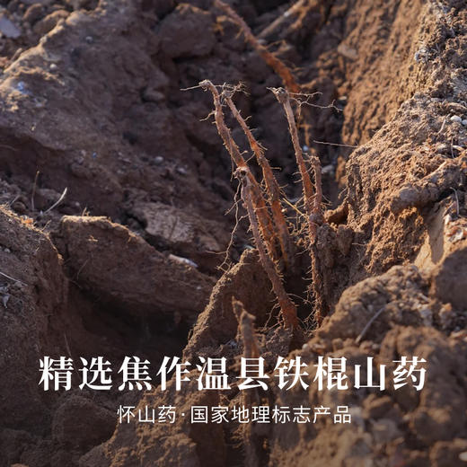 【昀蓉时光 · 垆土铁棍山药粉】精选焦作温县铁棍山药 ·低温研磨· 三道麸炒· 三次研磨·0添加（20g*10条/盒） 商品图2
