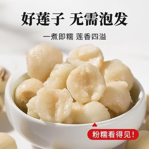在菌屋 正宗湘潭白莲200g 无需泡发 炖煮粉糯不苦 商品图4