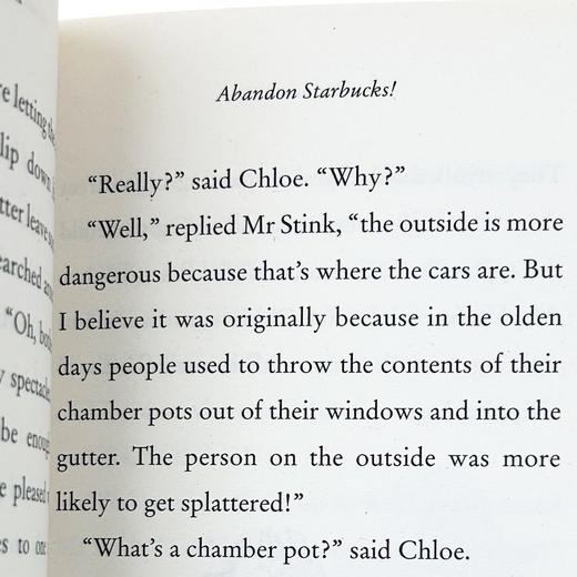 臭臭先生 英文原版 Mr Stink 大卫少年幽默小说系列 罗尔德达尔继承人David Walliams 商品图3