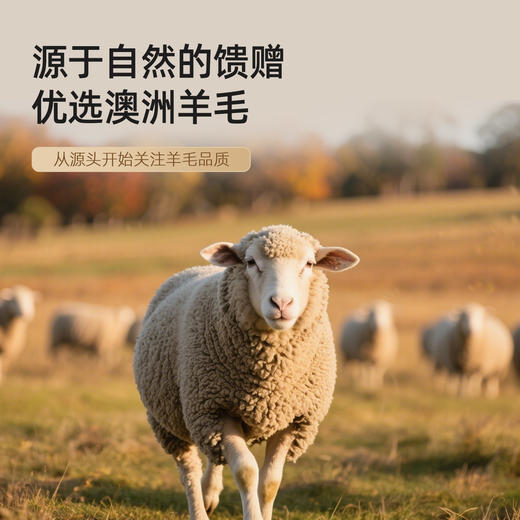 奥若拉 秋冬A类抗菌防螨蚕眠澳洲羊毛被 商品图7