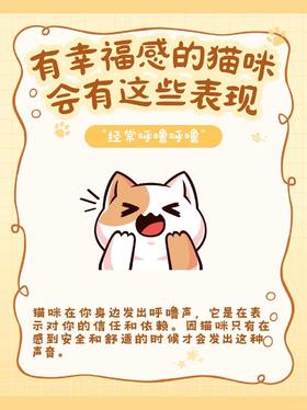 猫咪很幸福的5个表现，你家猫中了几条？