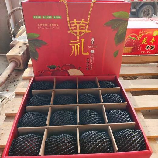 【圣诞礼物】顺丰陆运 甘肃天水花牛苹果礼盒装 新鲜平安果 商品图4