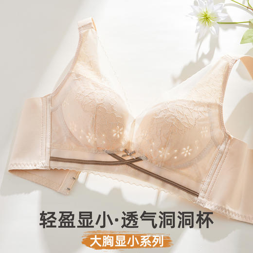 雅黛俪大胸显小显瘦女士内衣轻薄透气洞洞杯性感蕾丝文胸罩 商品图1