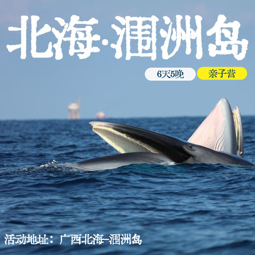 【 冬令营·1月24日-2月5日】6天5晚 · 涠洲观鲸圣地-火山岛亲子探秘之旅，国内唯一观鲸点+三娘湾粉海豚+岛民变形记+家长citywalk自由行... 商品图1