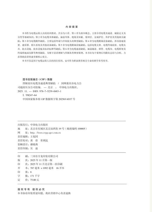 图解高压电缆及通道典型缺陷 商品图3